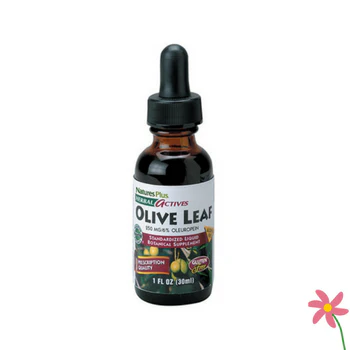 Nature's Plus Herbal Actives Olive Leaf 30ml
